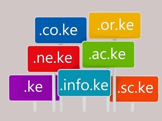 domains-co-ke