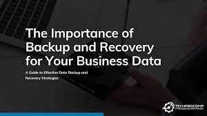 Why Your Business Needs an Enterprise Data Backup and Recovery Plan