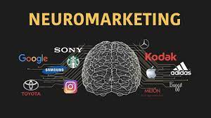 Harnessing the Power of Neuromarketing: Influencing Consumer Behavior in Digital Marketing